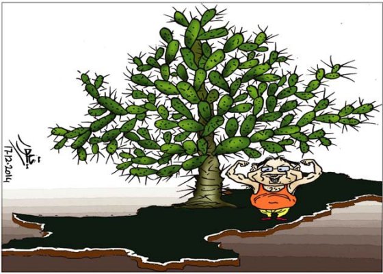 CARTOON_Cactus tree of Musharraf_Umt_19-12-14